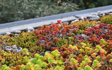 the cost of New Bradwell green roof installation