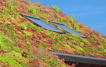 New Bradwell living roof systems